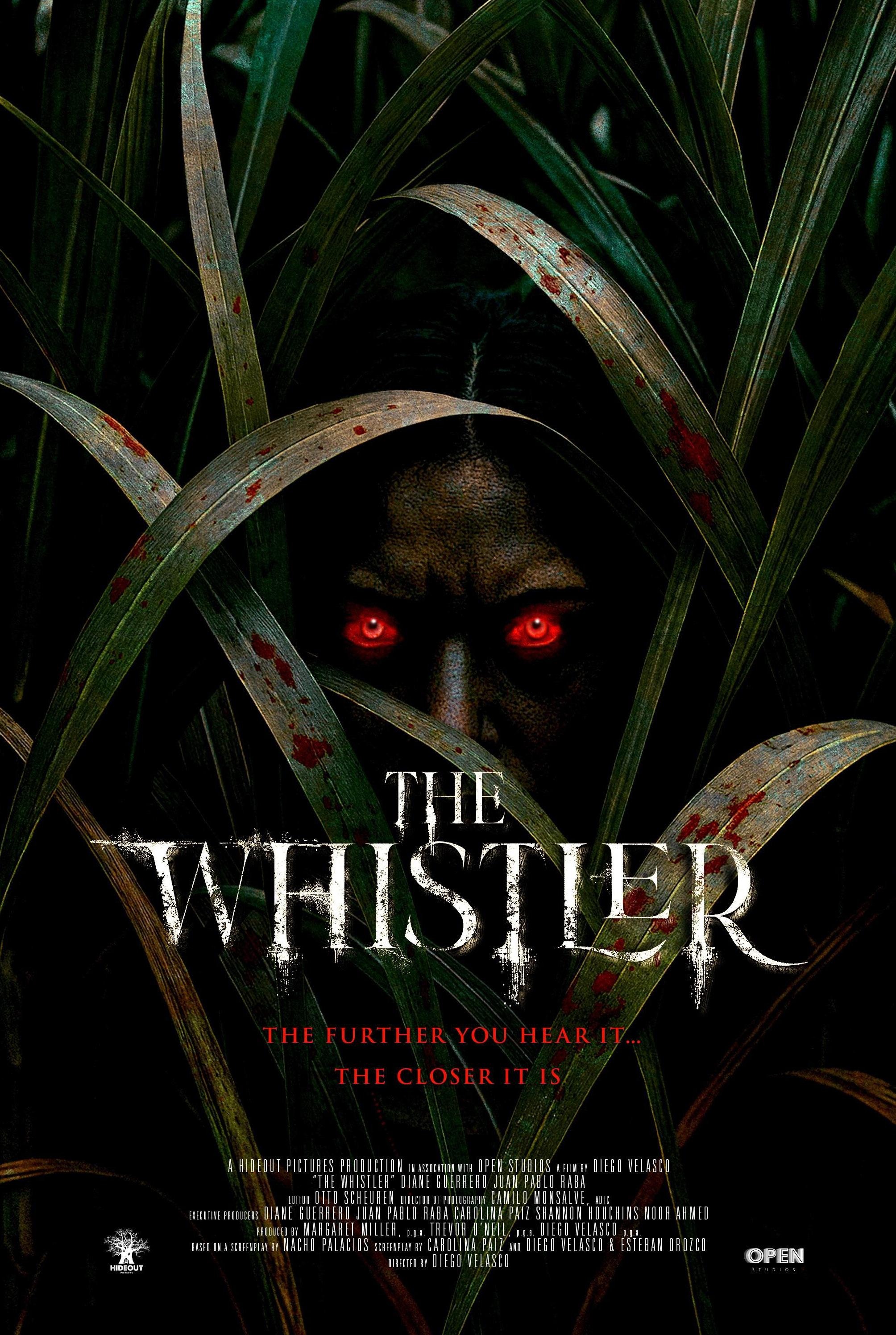 Mega Sized Movie Poster Image for The Whistler 