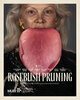 Rosebush Pruning (2026) Thumbnail