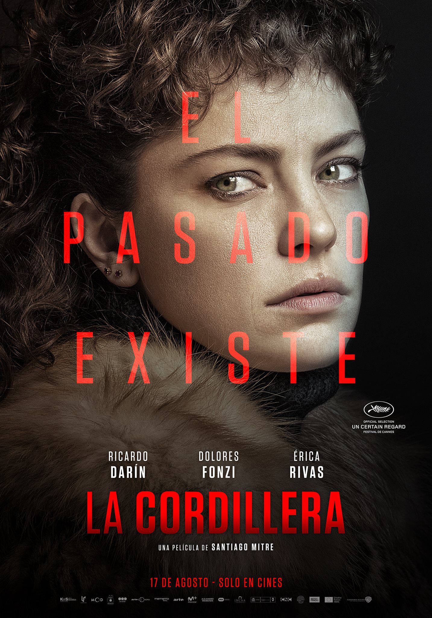 Mega Sized Movie Poster Image for La cordillera (#4 of 5)