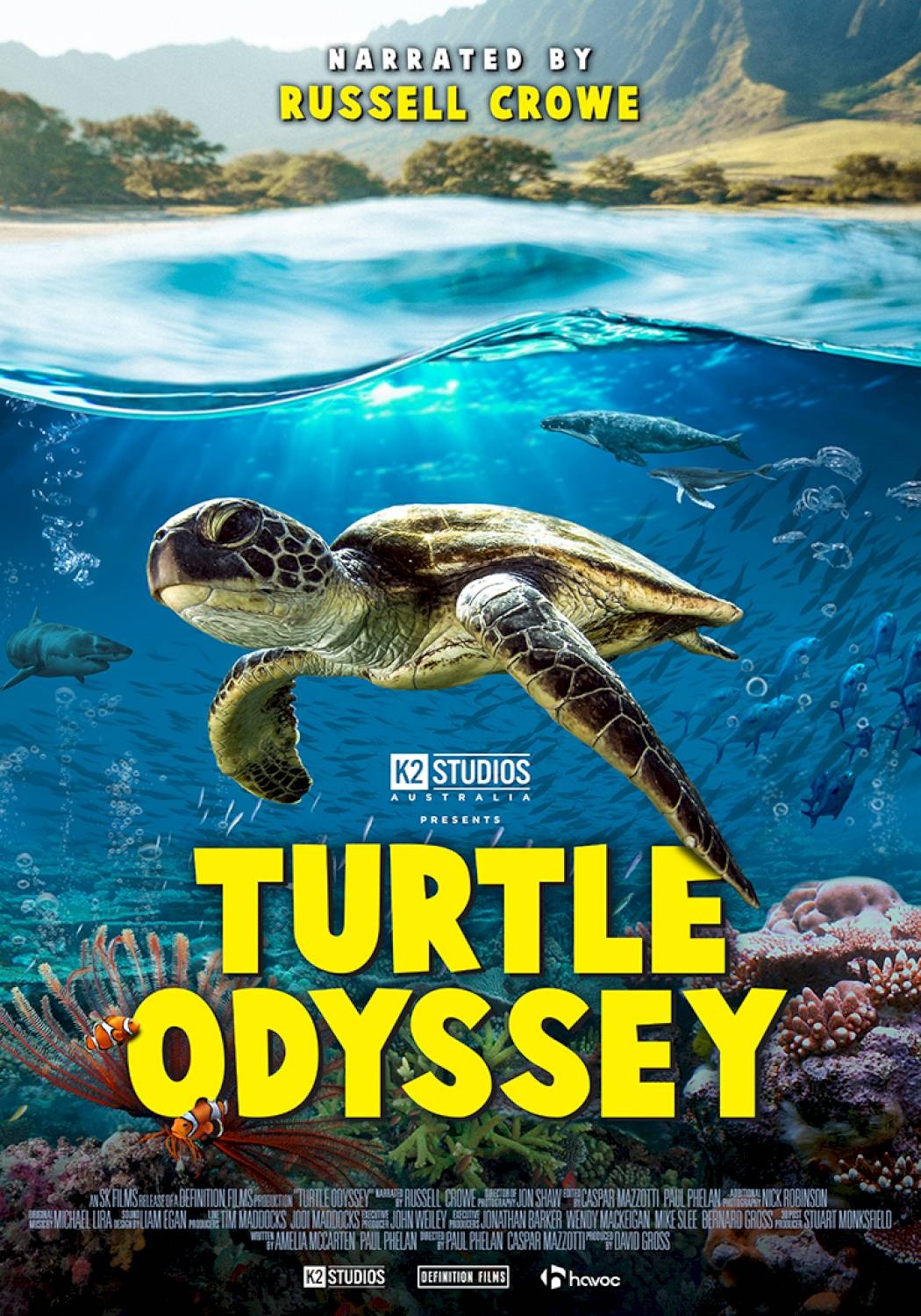 Extra Large Movie Poster Image for Turtle Odyssey (#2 of 2)