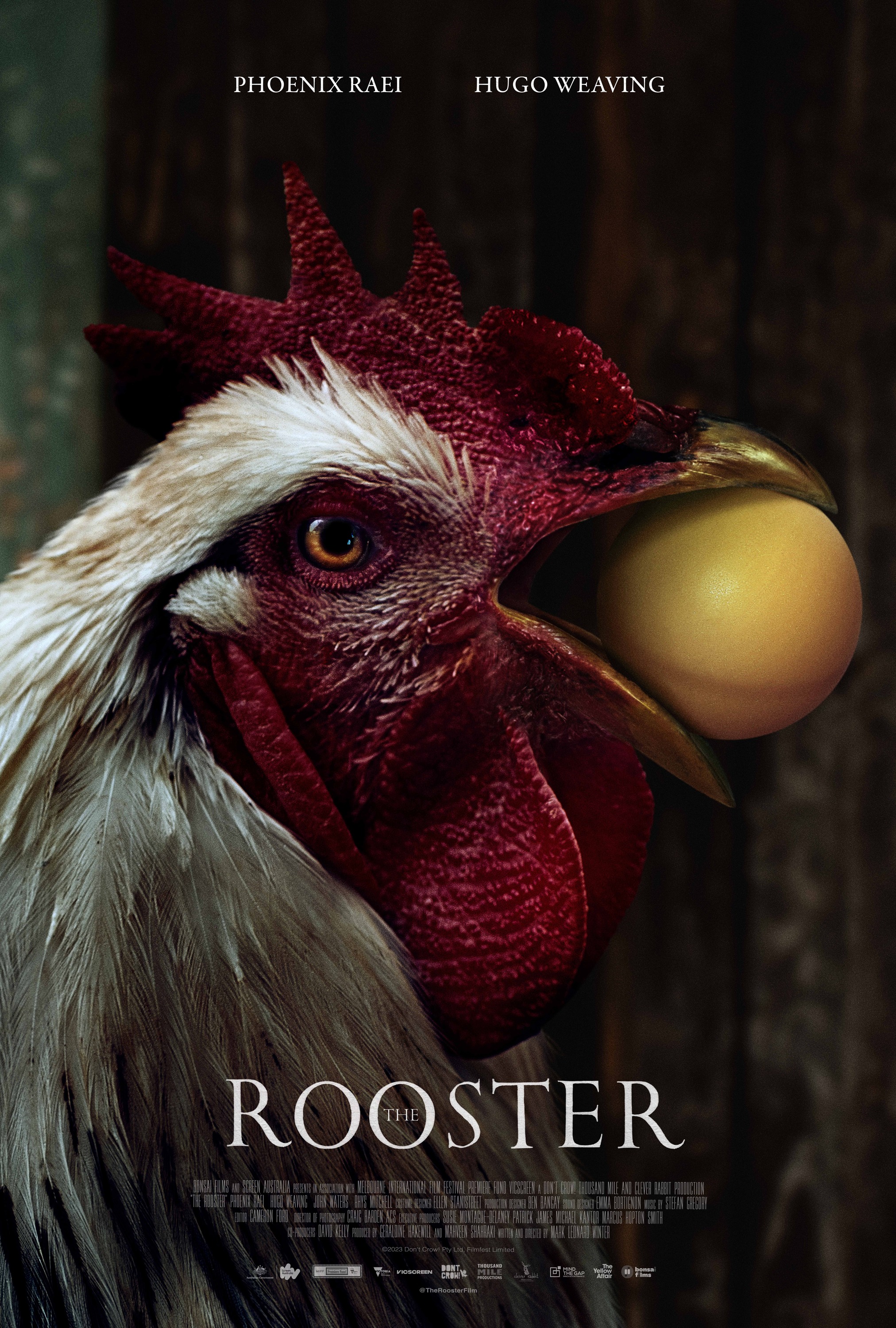 Mega Sized Movie Poster Image for The Rooster (#2 of 2)