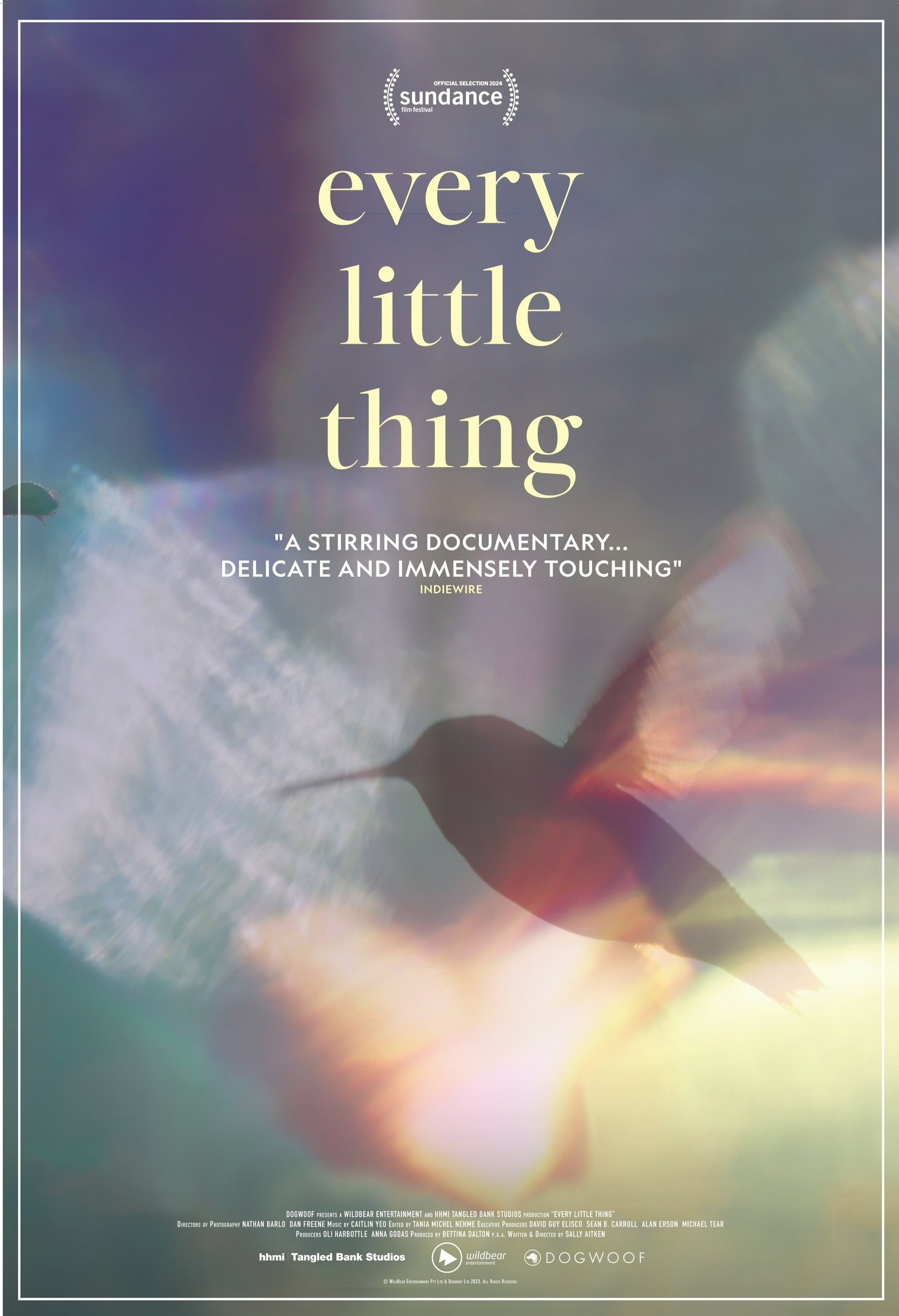 Mega Sized Movie Poster Image for Every Little Thing (#1 of 3)