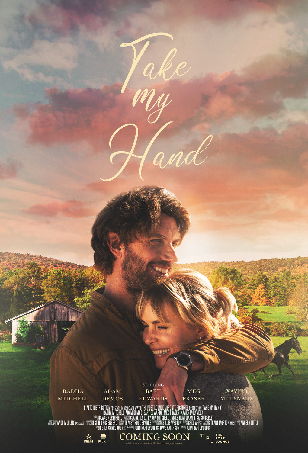 Extra Large Movie Poster Image for Take My Hand 