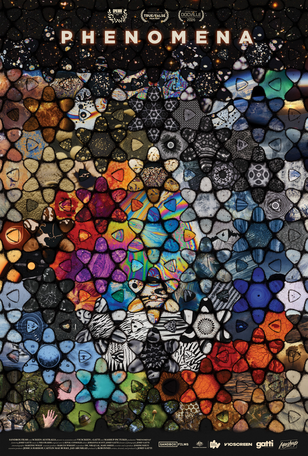 Extra Large Movie Poster Image for Phenomena 