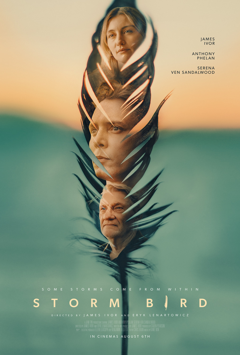Extra Large Movie Poster Image for Storm Bird 