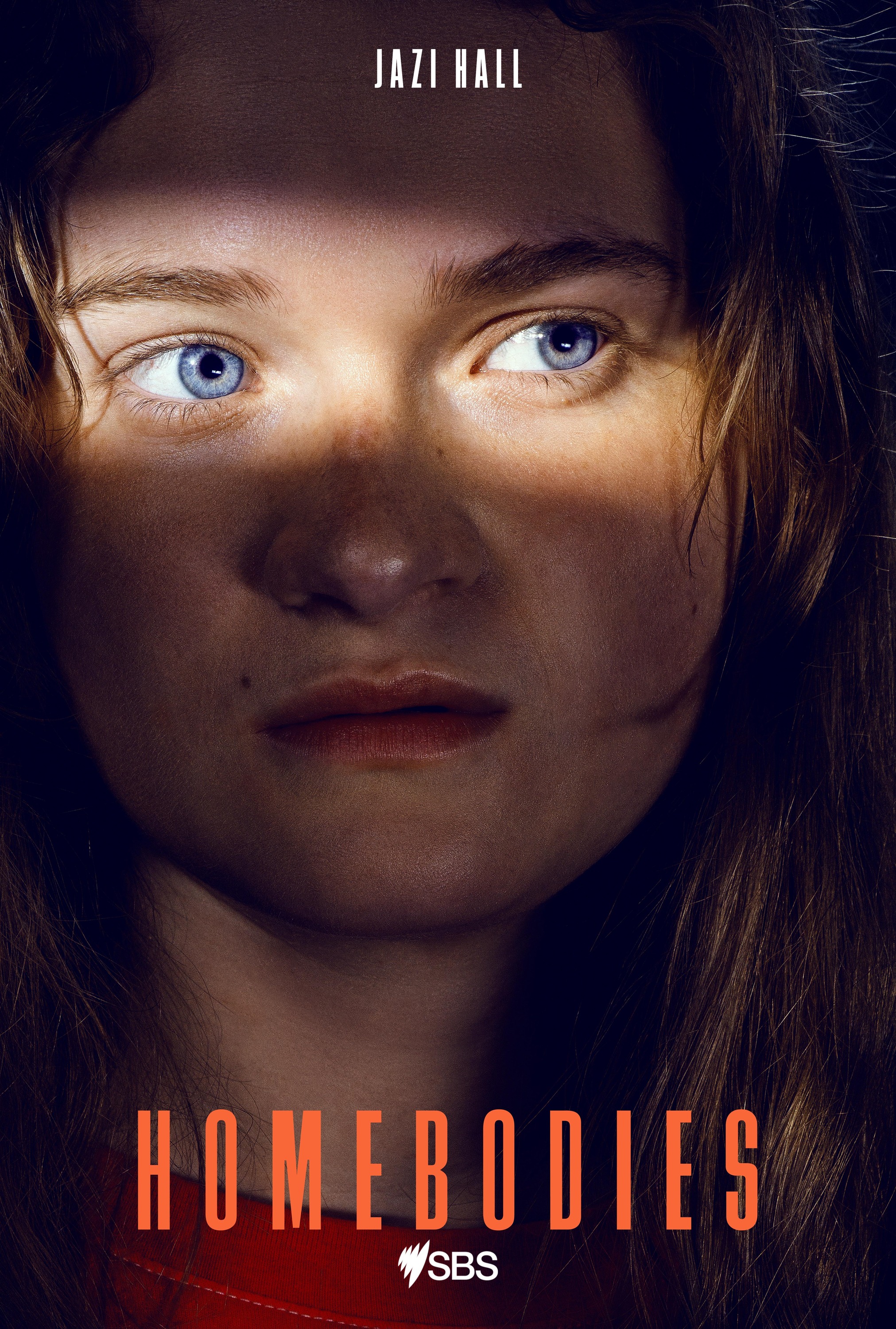 Mega Sized TV Poster Image for Homebodies (#4 of 5)