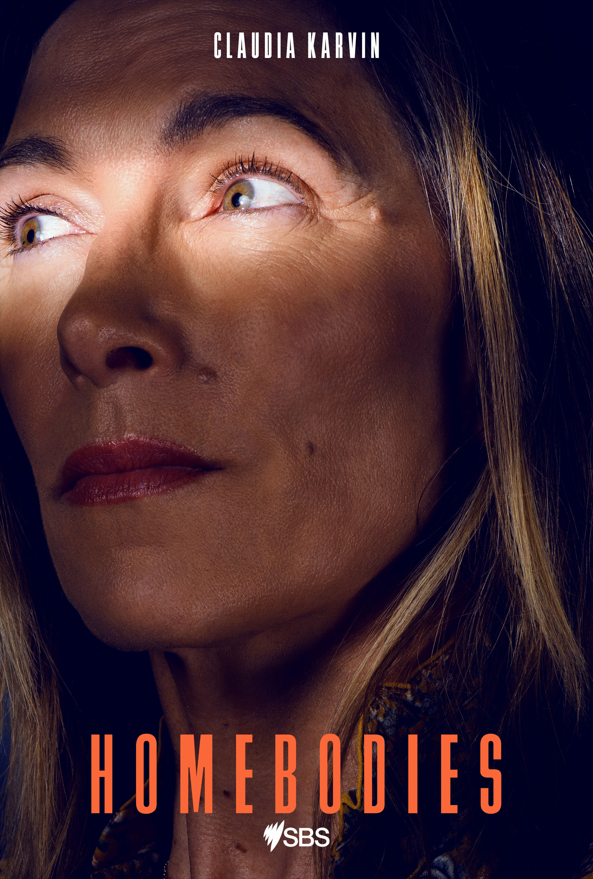 Mega Sized TV Poster Image for Homebodies (#5 of 5)