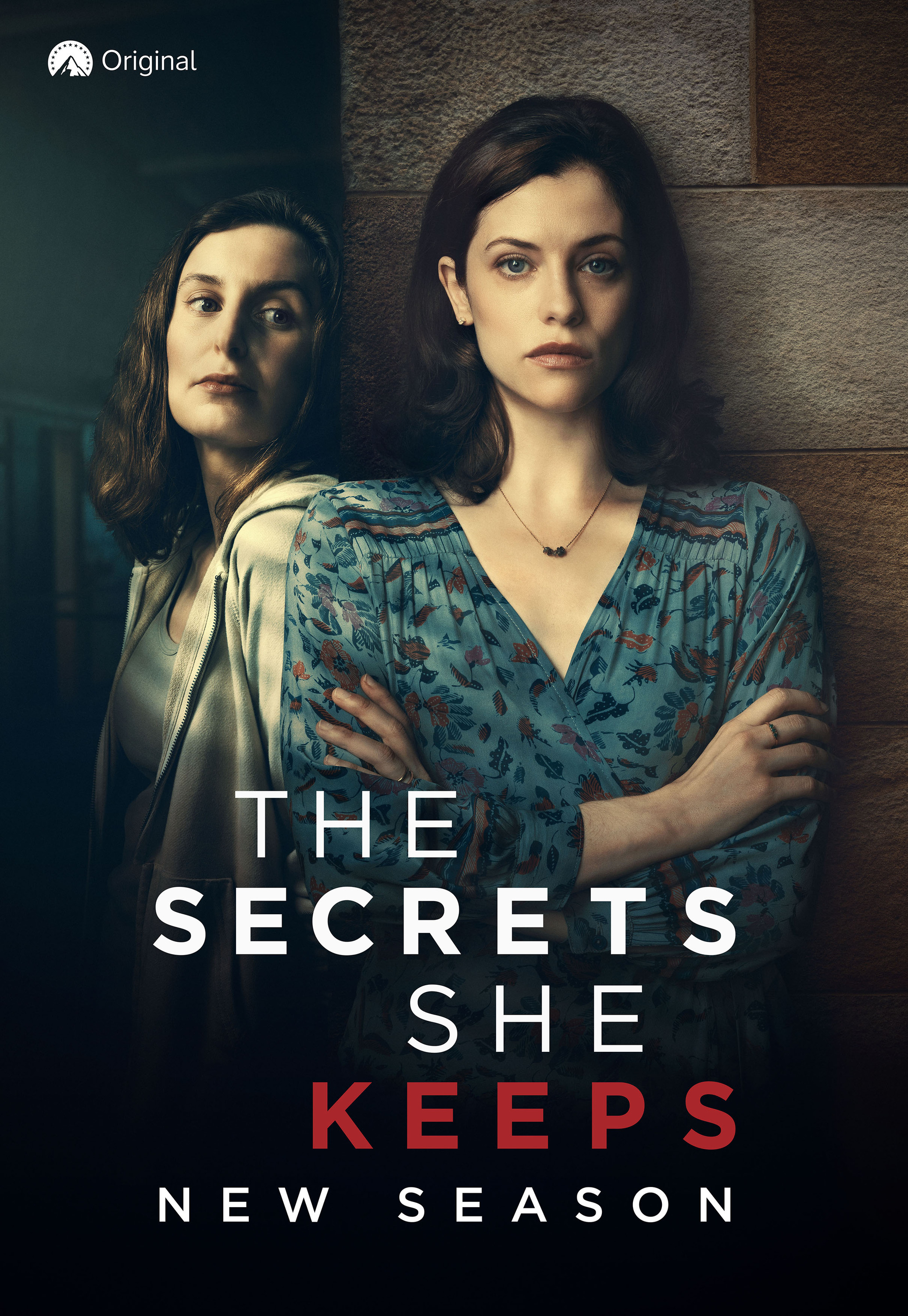 Mega Sized TV Poster Image for The Secrets She Keeps 