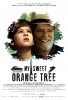 My Sweet Orange Tree (2012) Thumbnail