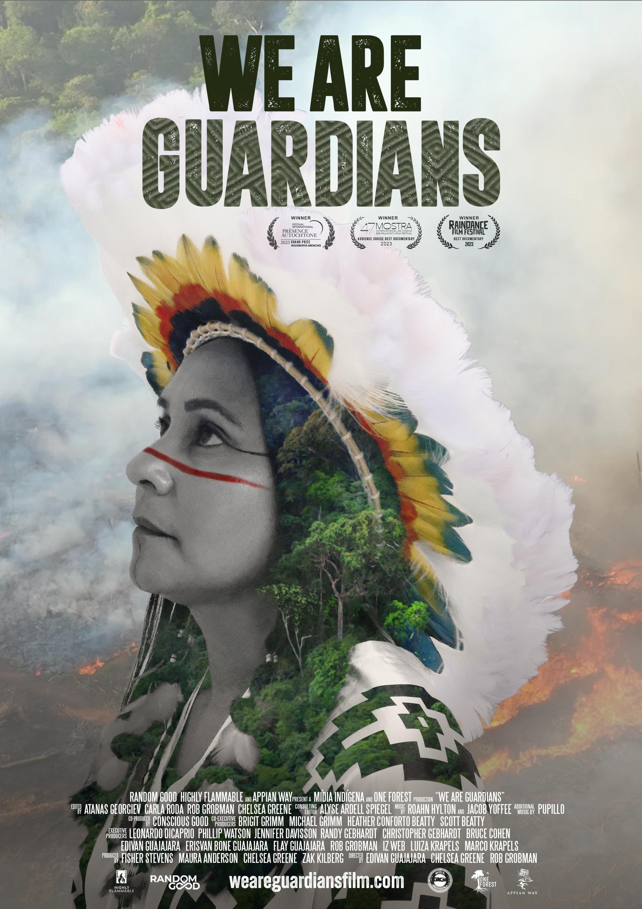 Mega Sized Movie Poster Image for We Are Guardians (#1 of 2)