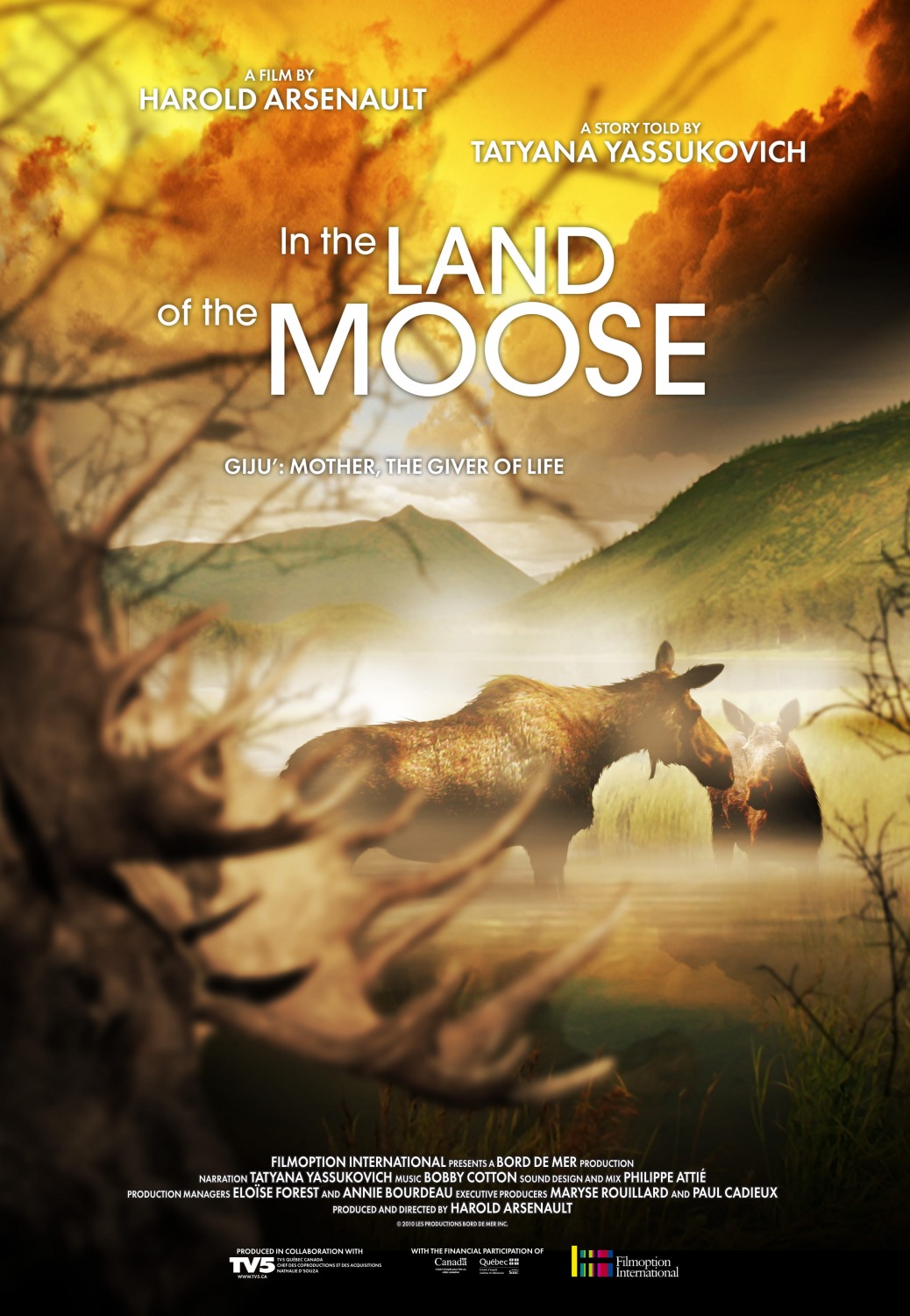 Extra Large Movie Poster Image for In the land of the moose 