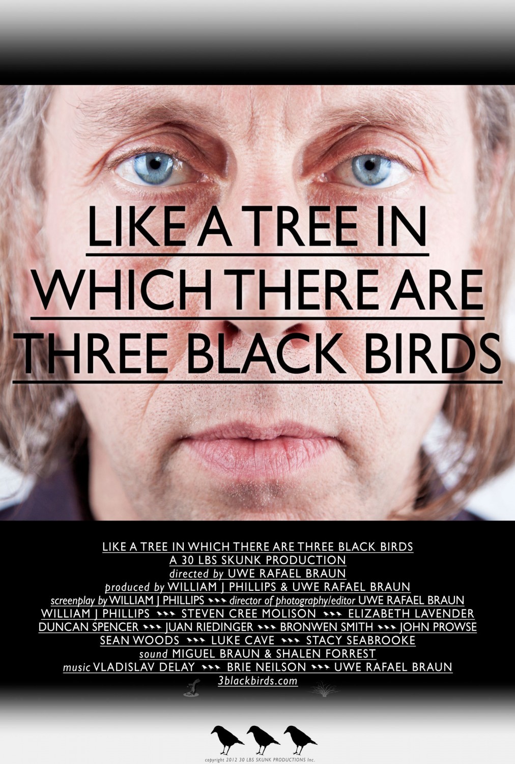 Extra Large Movie Poster Image for Like a Tree in Which There Are Three Black Birds 