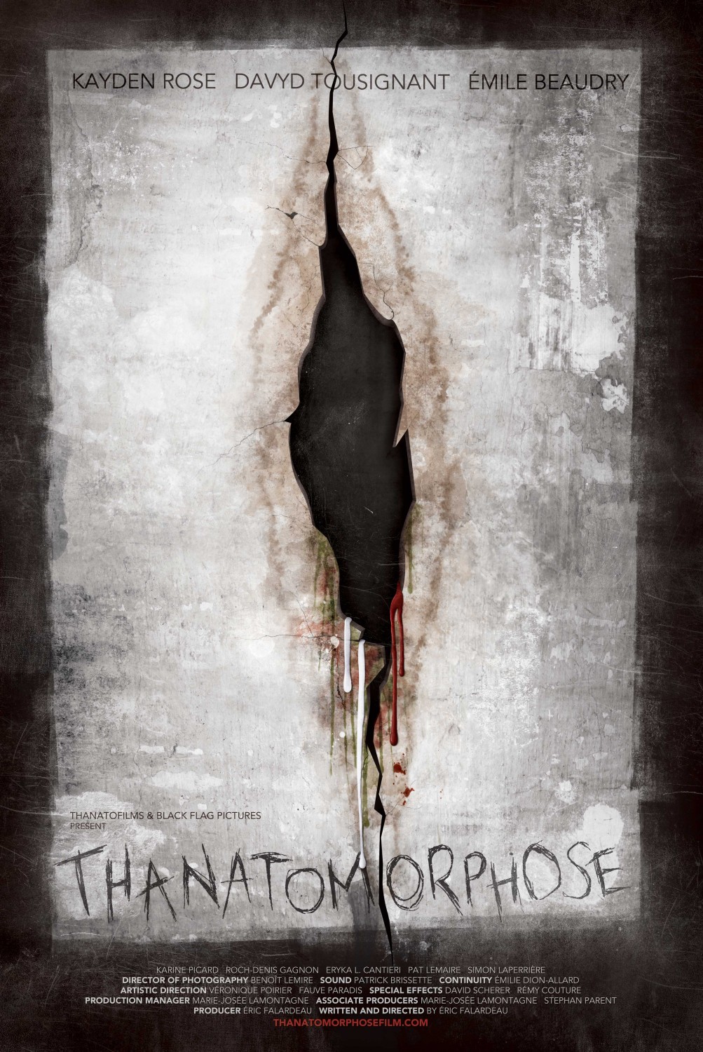 Extra Large Movie Poster Image for Thanatomorphose 
