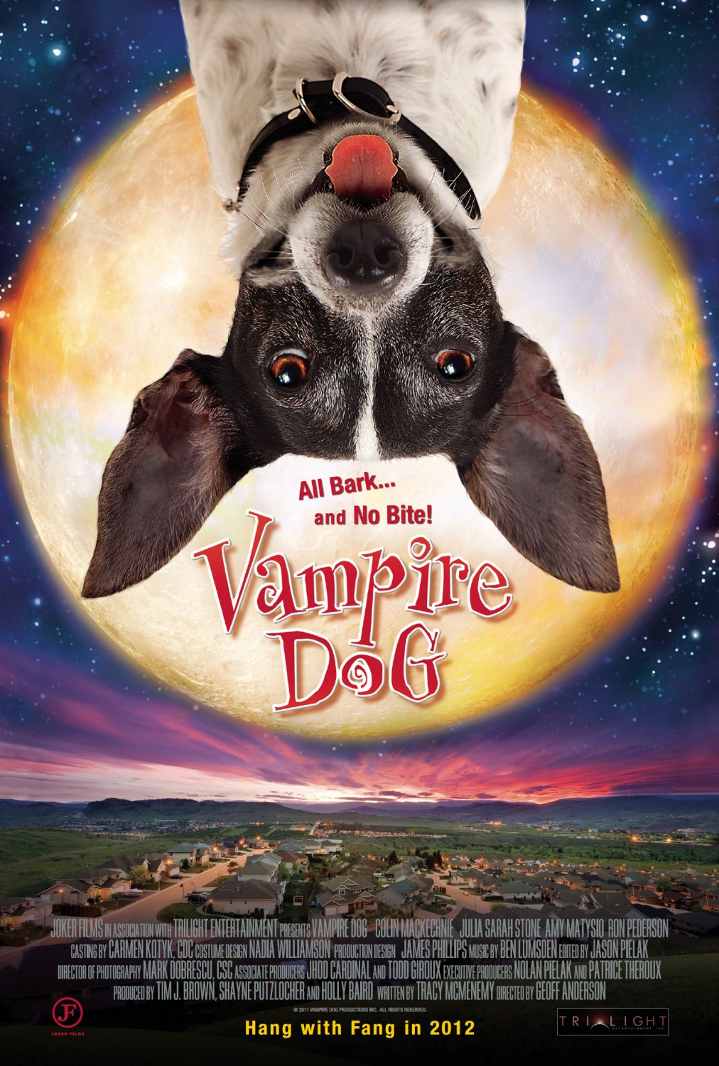 Extra Large Movie Poster Image for Vampire Dog 