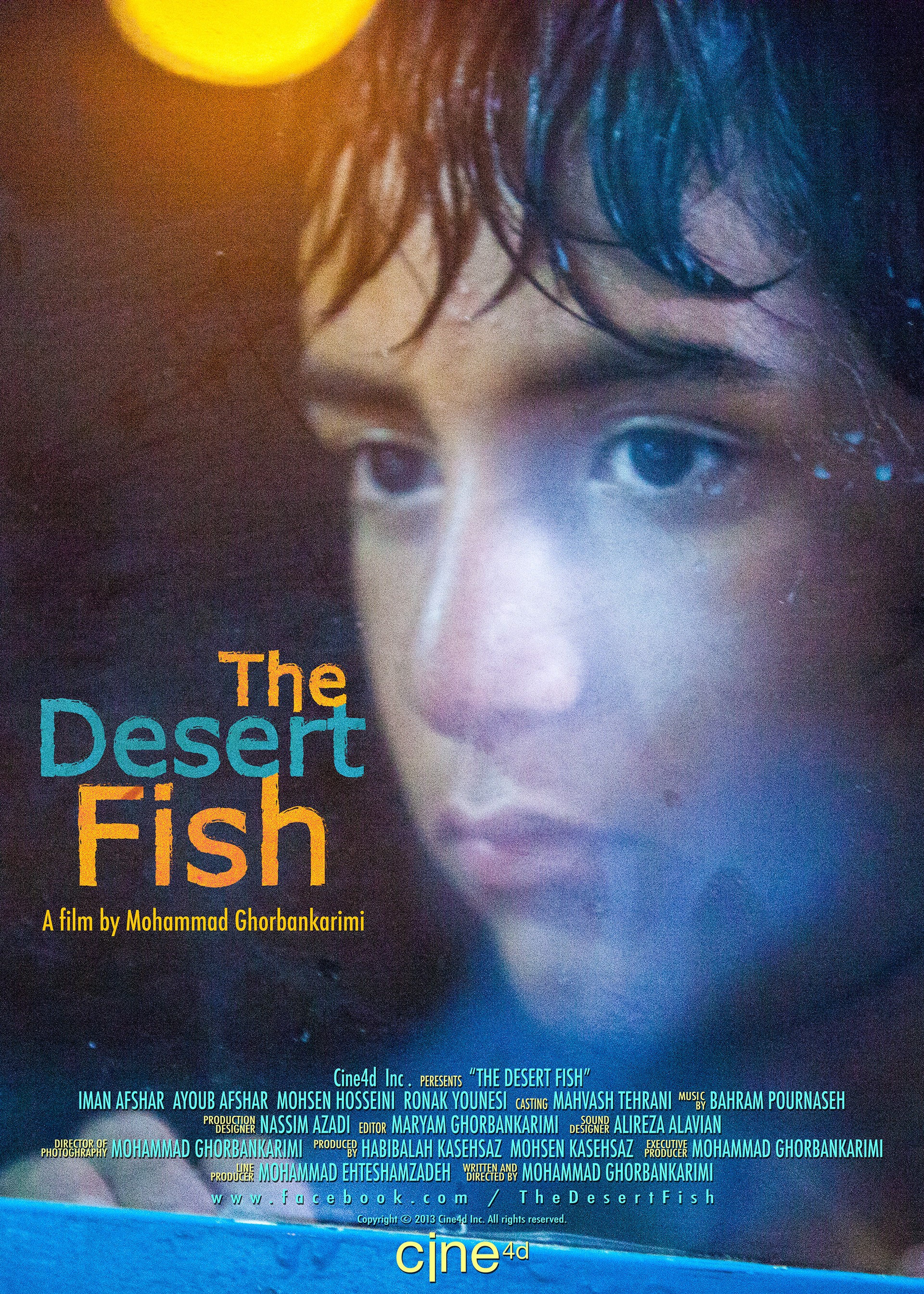 Mega Sized Movie Poster Image for The Desert Fish 