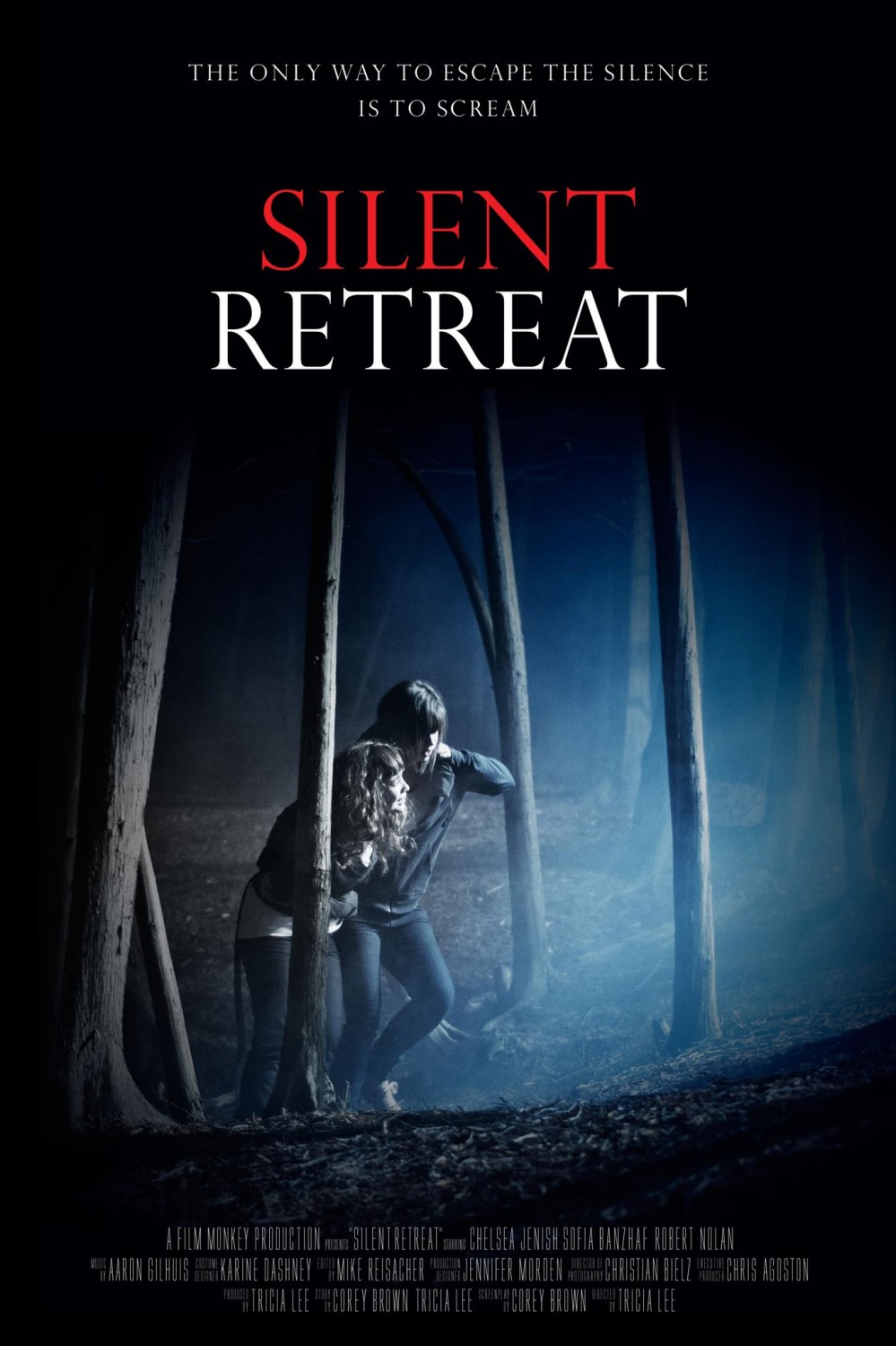 Extra Large Movie Poster Image for Silent Retreat 