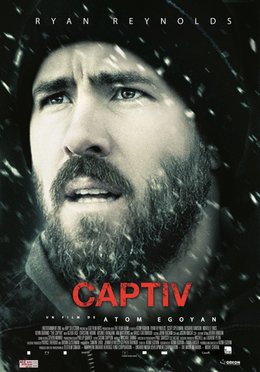 Extra Large Movie Poster Image for The Captive (#3 of 3)