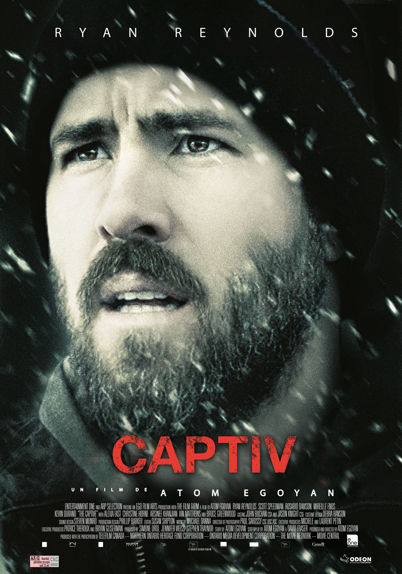 Mega Sized Movie Poster Image for The Captive (#3 of 3)
