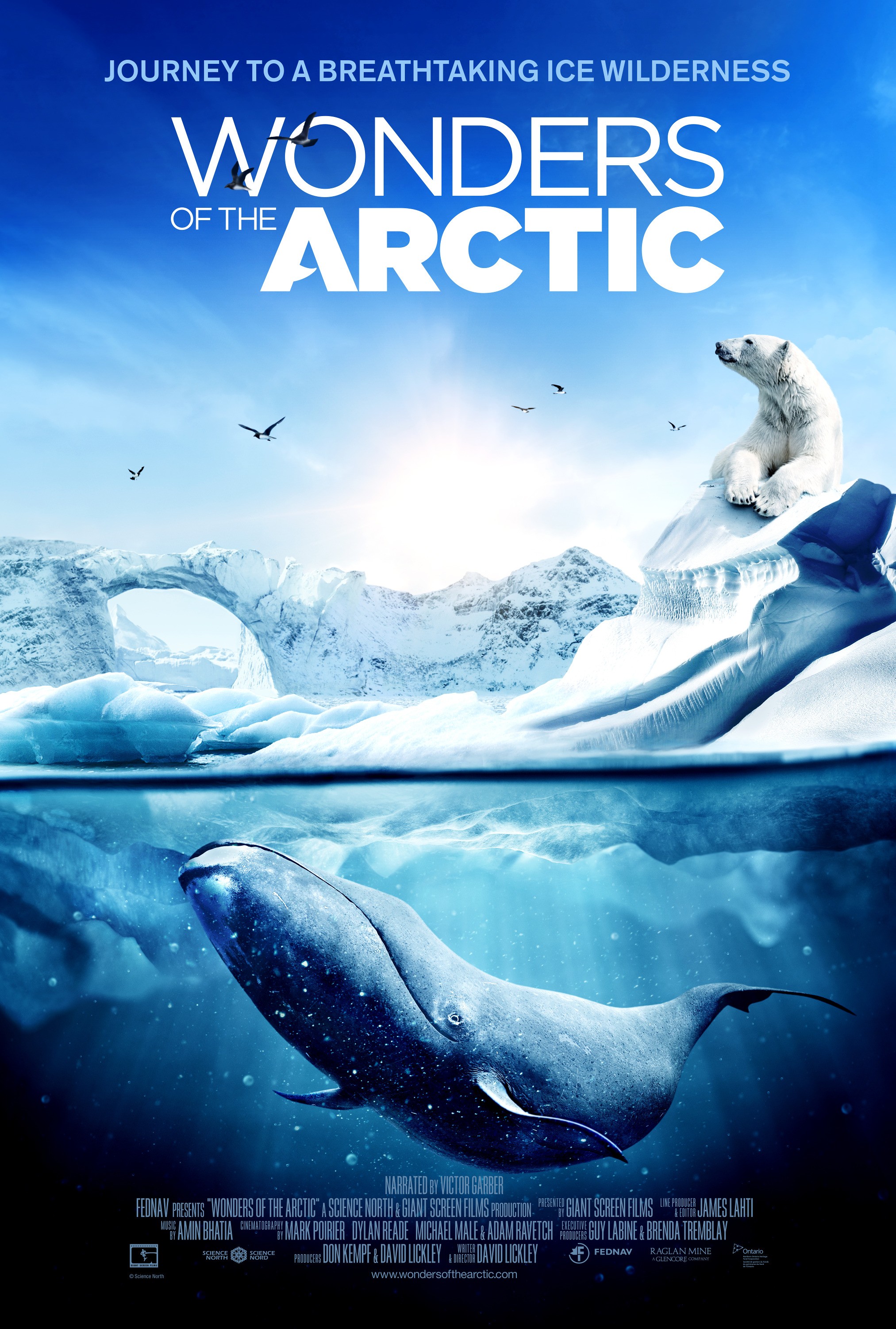 Mega Sized Movie Poster Image for Wonders of the Arctic 