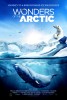Wonders of the Arctic (2014) Thumbnail