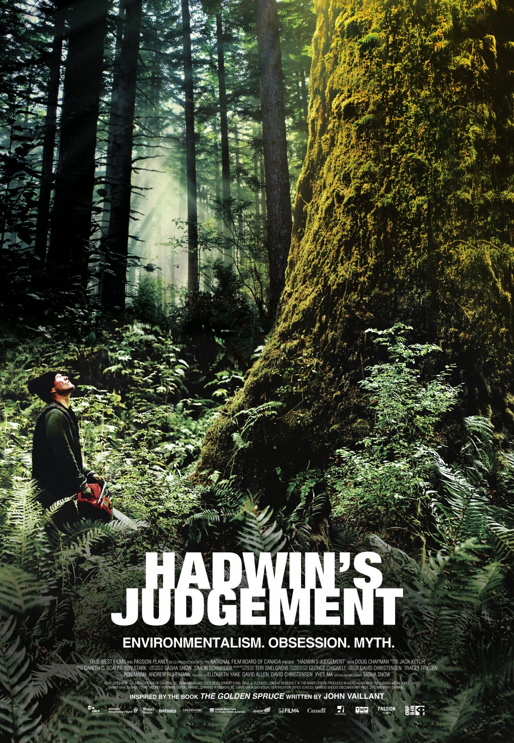 Extra Large Movie Poster Image for Hadwin's Judgement 
