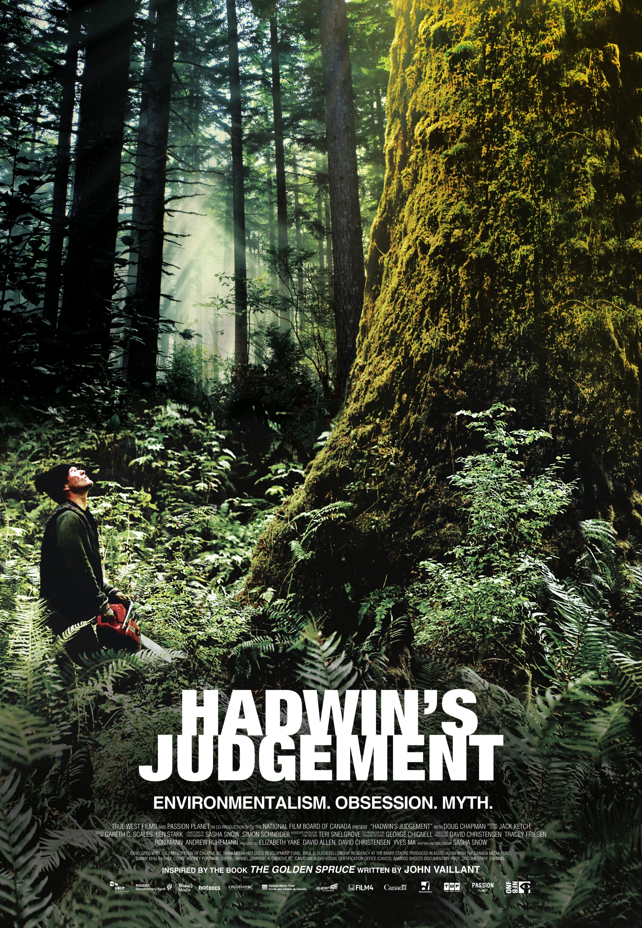Mega Sized Movie Poster Image for Hadwin's Judgement 