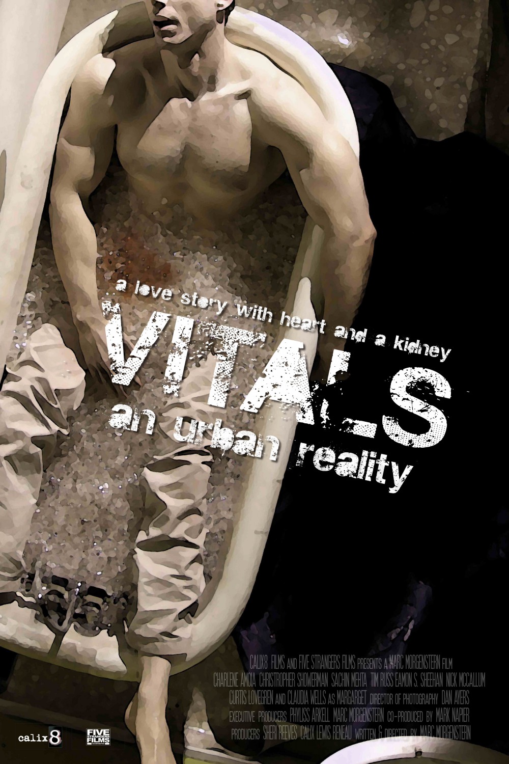 Extra Large Movie Poster Image for Vitals 