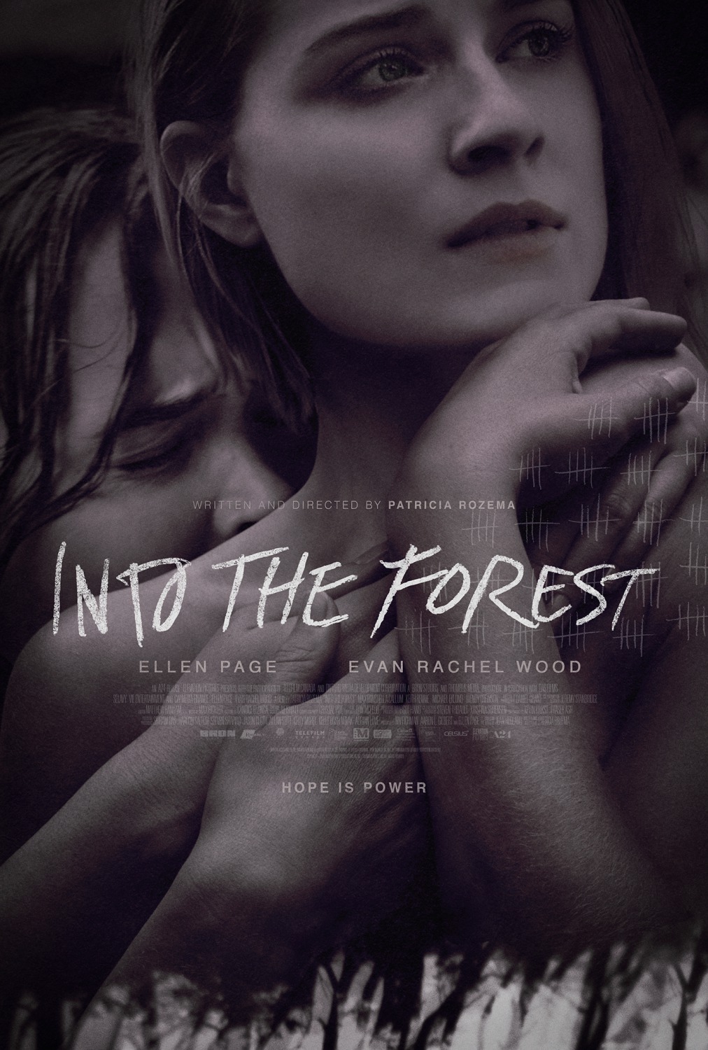 Extra Large Movie Poster Image for Into the Forest (#1 of 2)