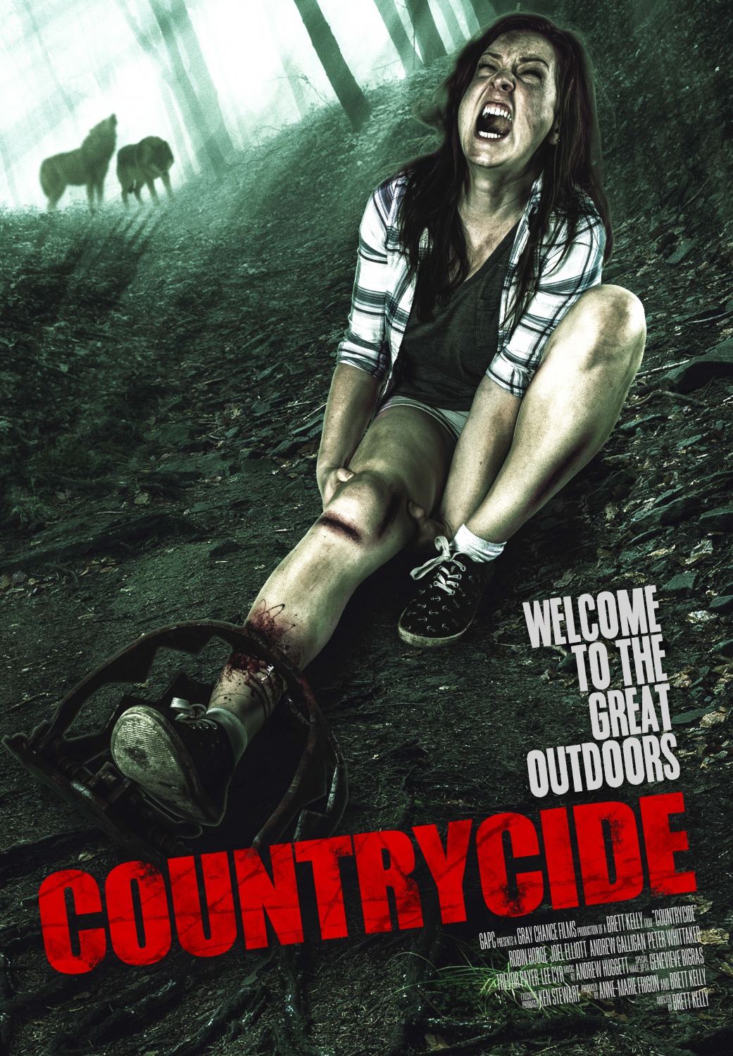 Extra Large Movie Poster Image for Countrycide 