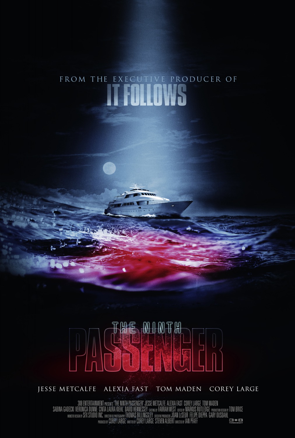 Extra Large Movie Poster Image for The Ninth Passenger (#1 of 2)