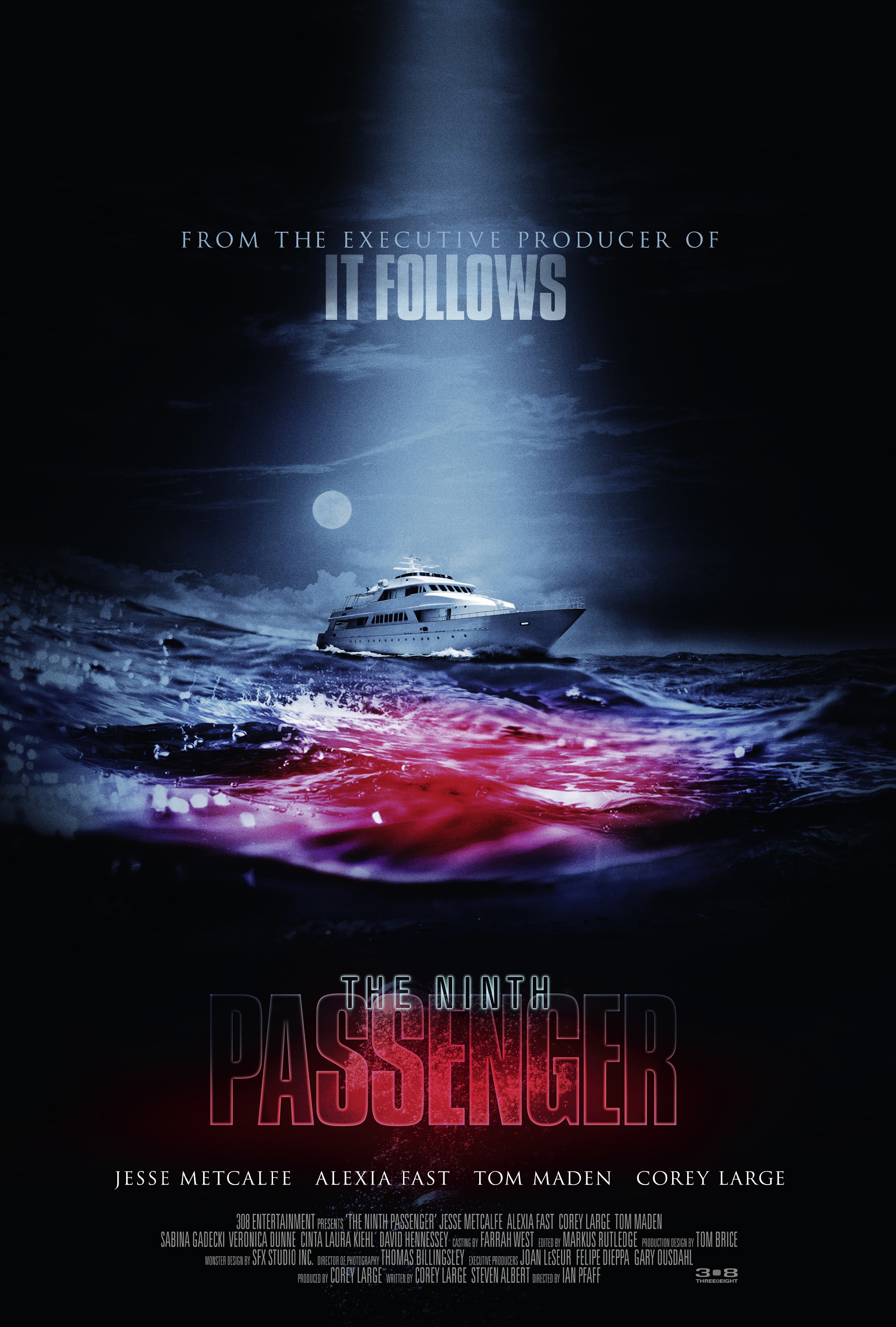 Mega Sized Movie Poster Image for The Ninth Passenger (#1 of 2)