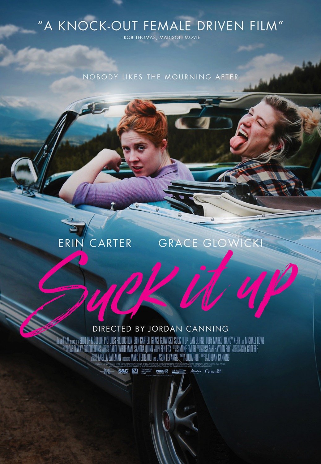 Extra Large Movie Poster Image for Suck It Up 