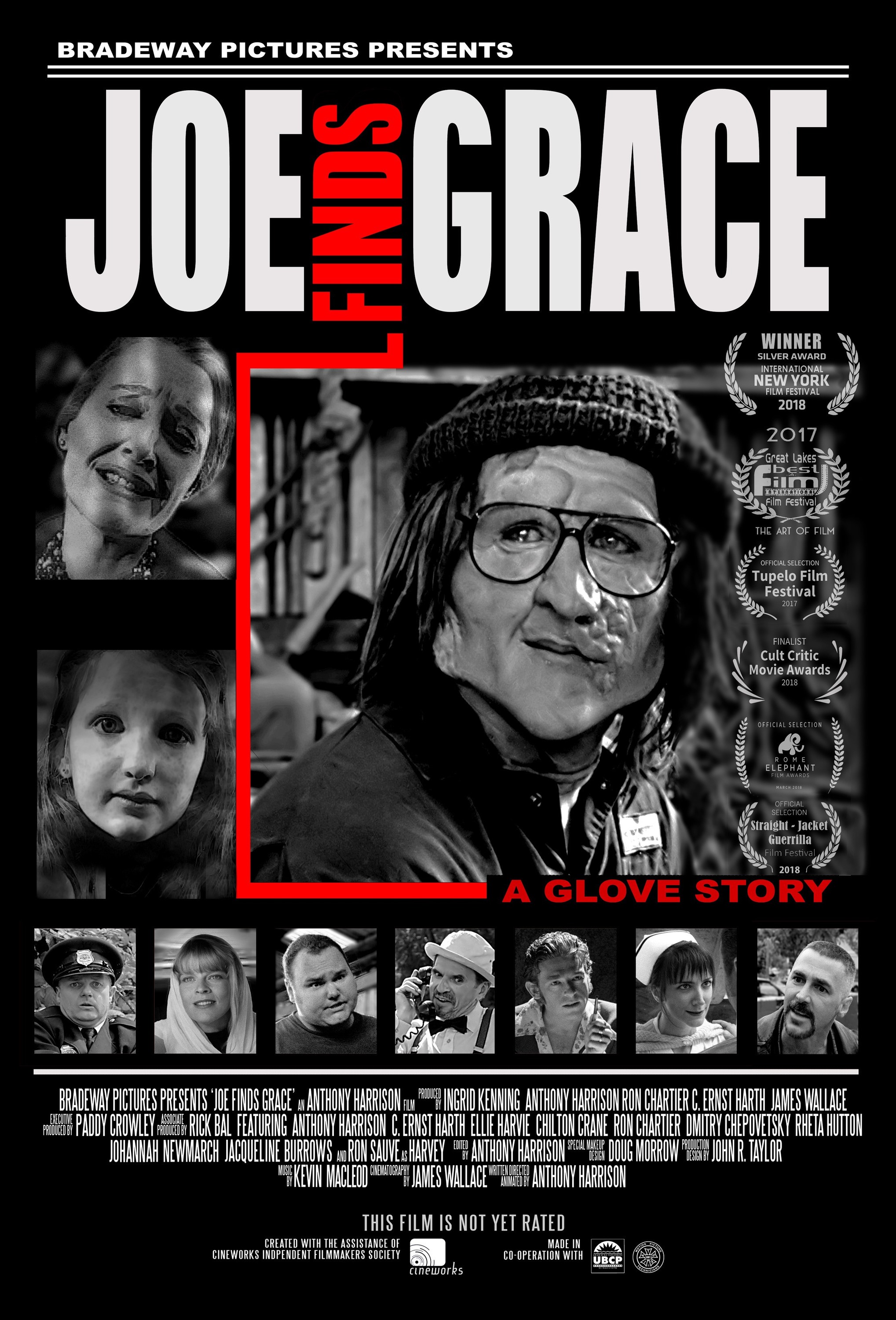 Mega Sized Movie Poster Image for Joe Finds Grace 