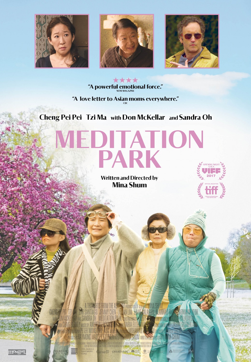 Extra Large Movie Poster Image for Meditation Park 