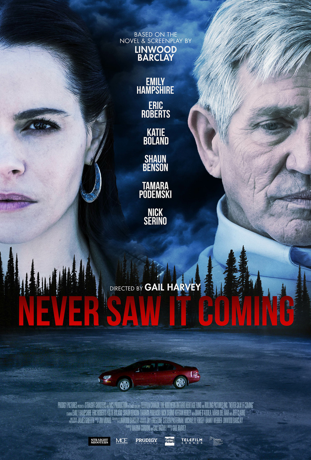 Extra Large Movie Poster Image for Never Saw It Coming 