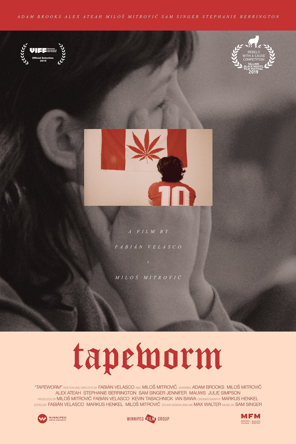 Extra Large Movie Poster Image for Tapeworm 