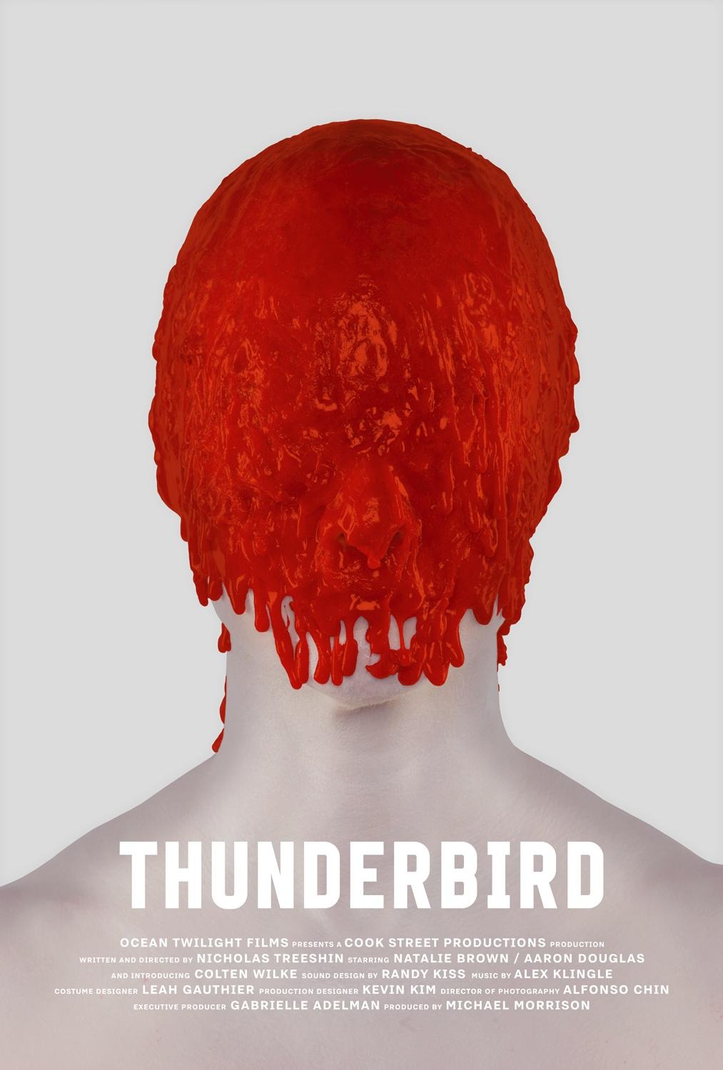 Extra Large Movie Poster Image for Thunderbird 