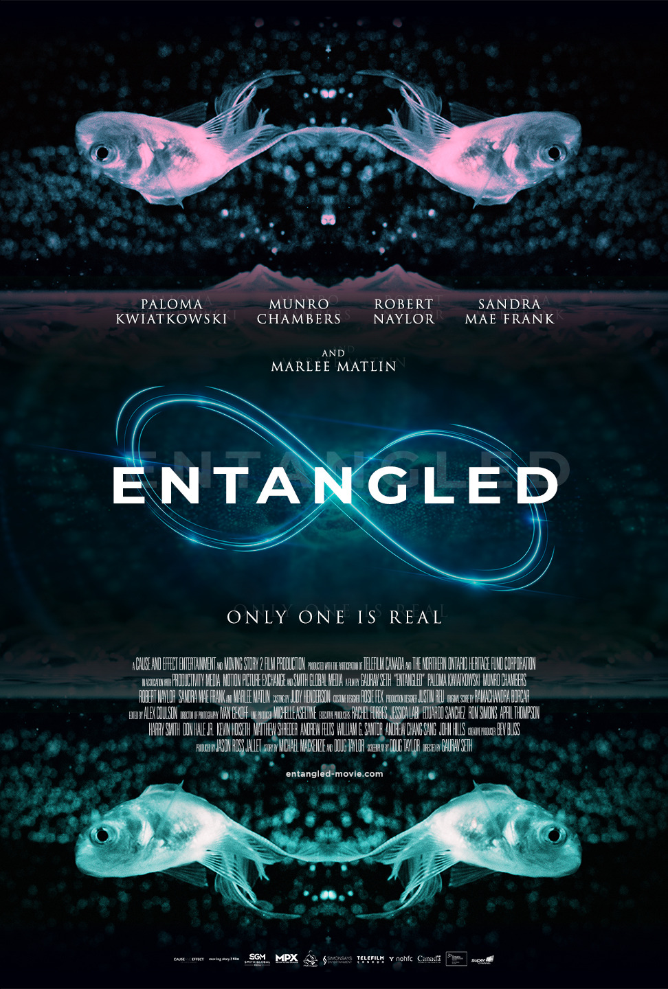 Extra Large Movie Poster Image for Entangled 
