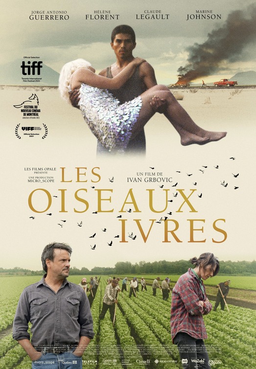 Les oiseaux ivres Movie Poster