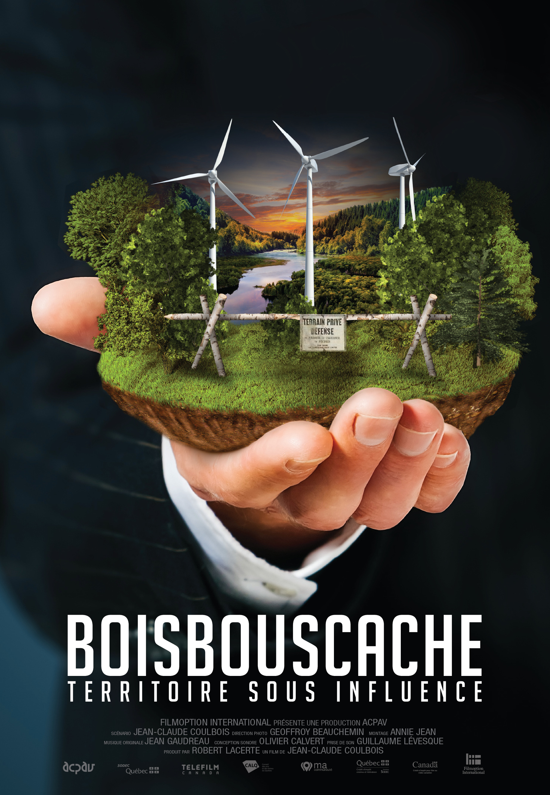 Mega Sized Movie Poster Image for Boisbouscache 