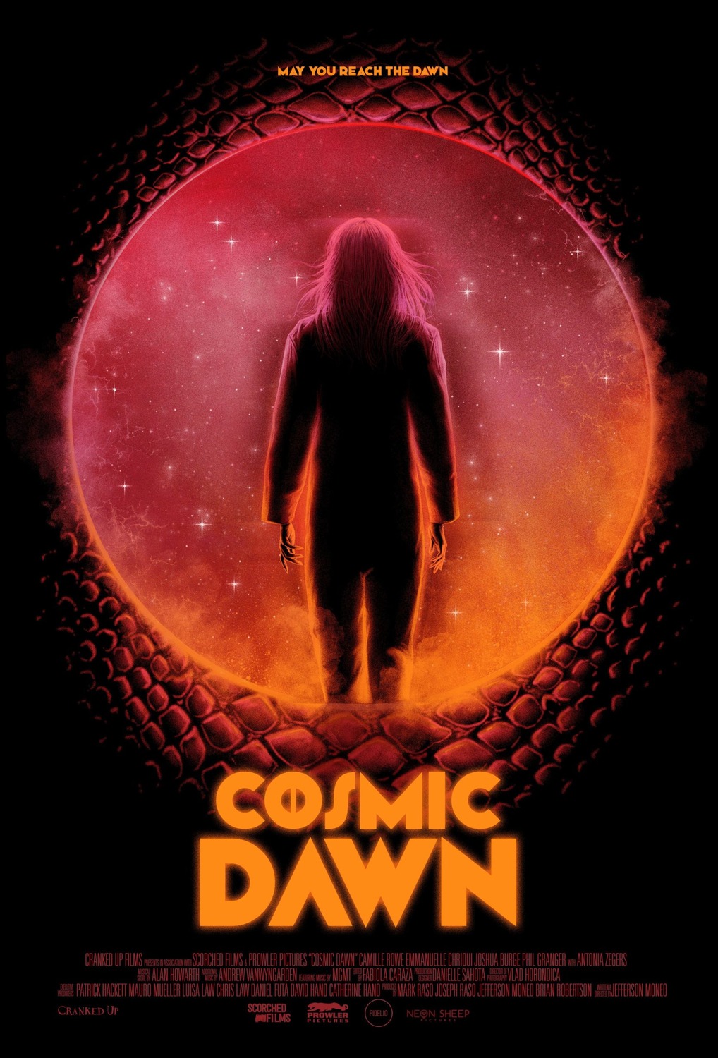 Extra Large Movie Poster Image for Cosmic Dawn 