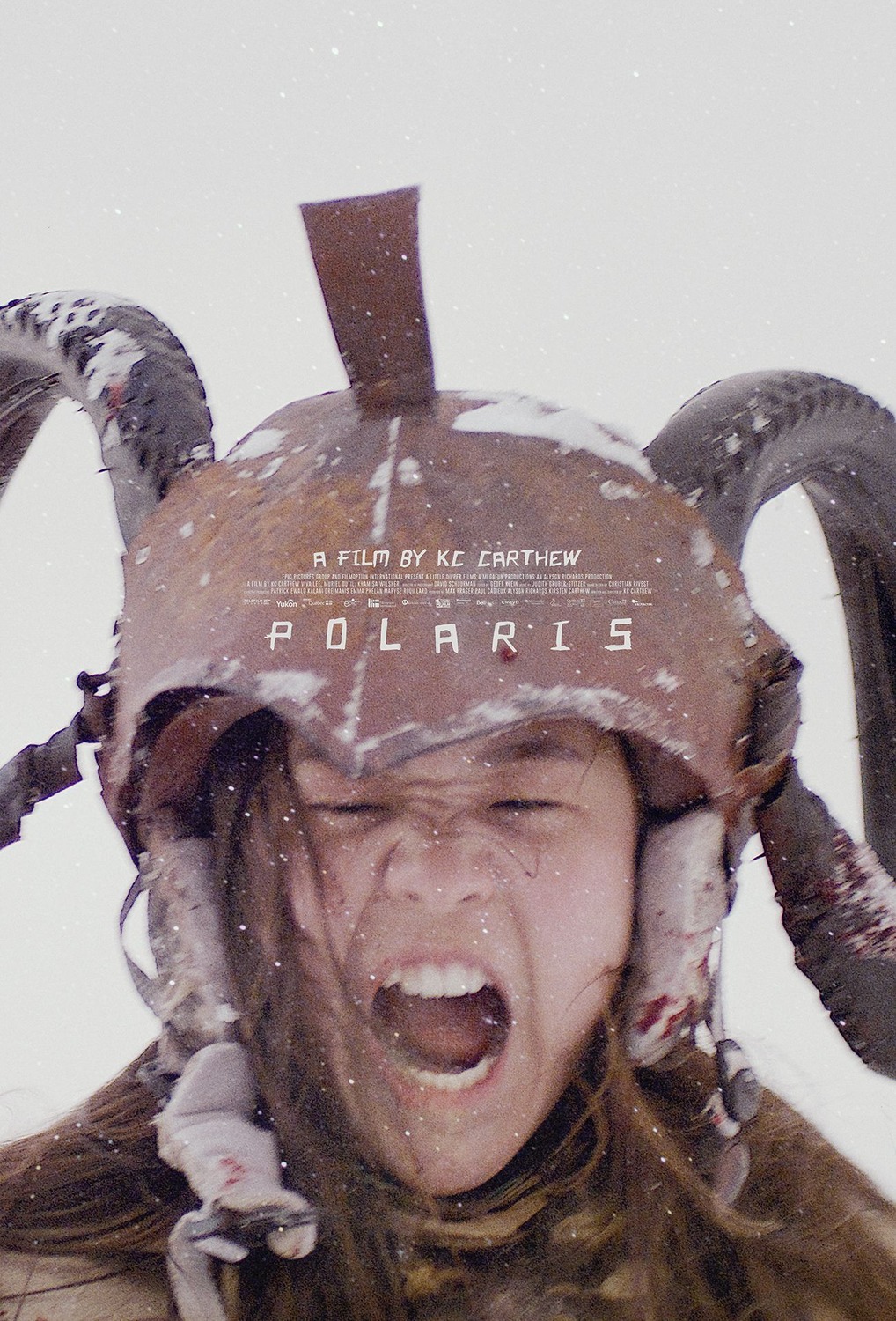 Extra Large Movie Poster Image for Polaris 