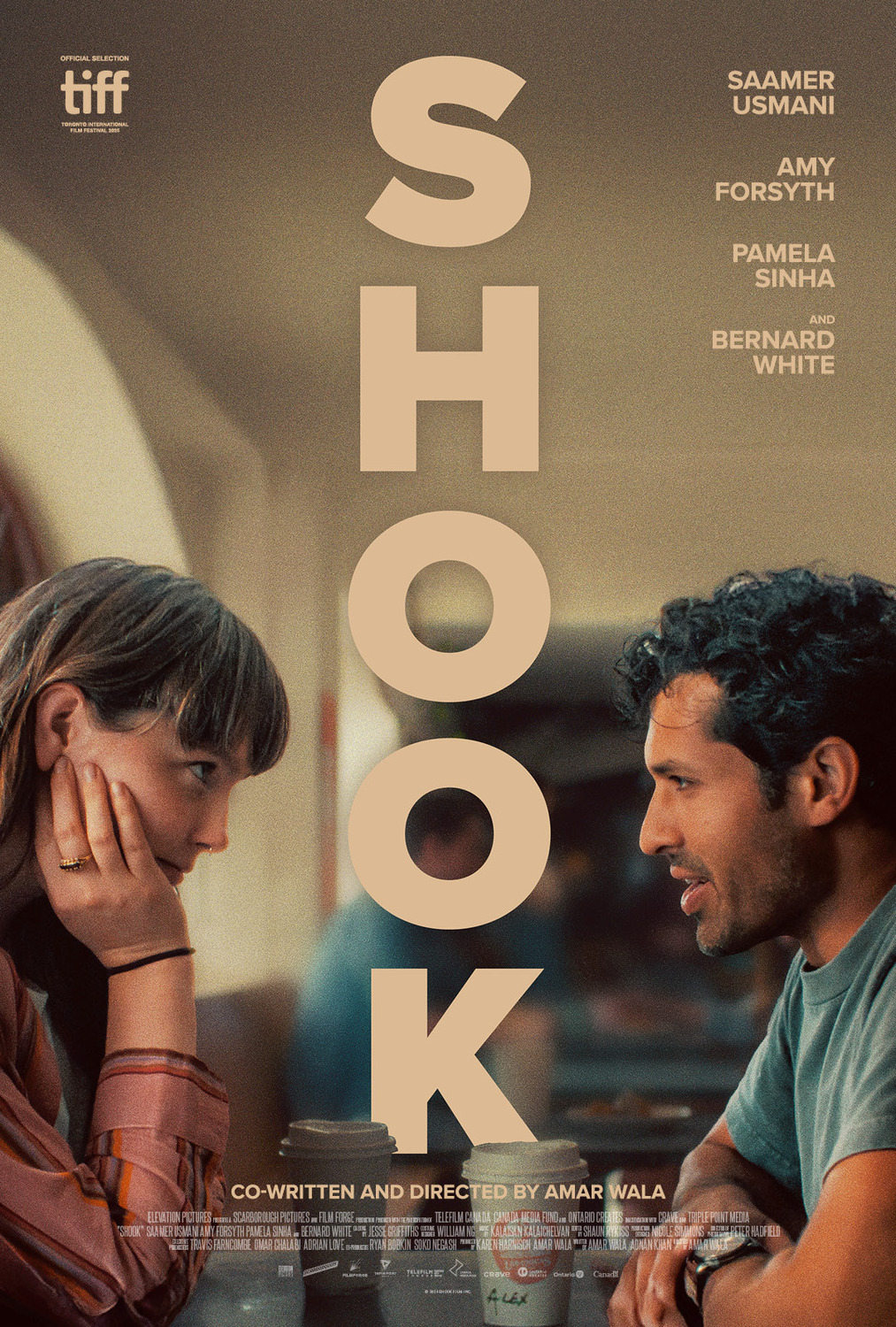 Extra Large Movie Poster Image for Shook 