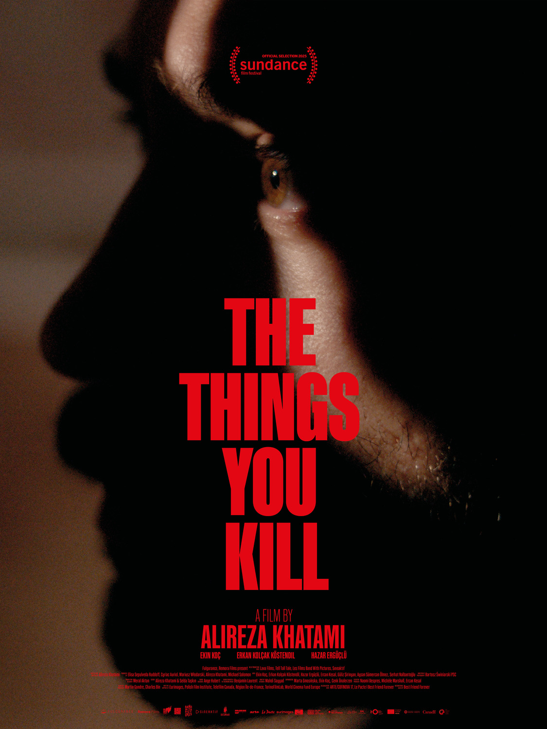 Extra Large Movie Poster Image for The Things You Kill 