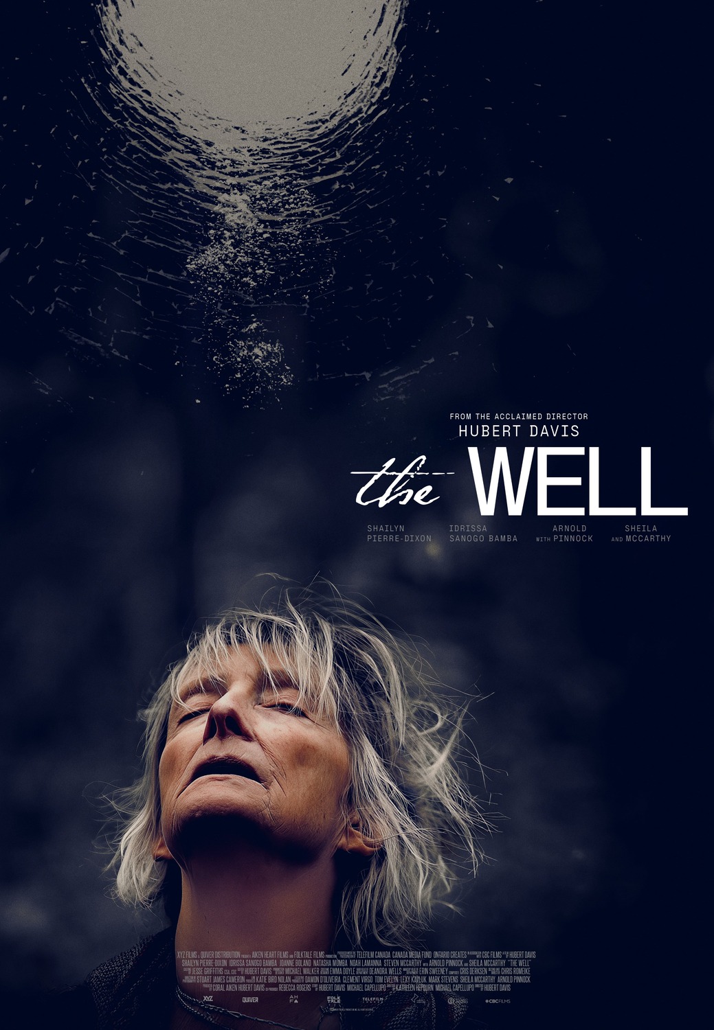 Extra Large Movie Poster Image for The Well 