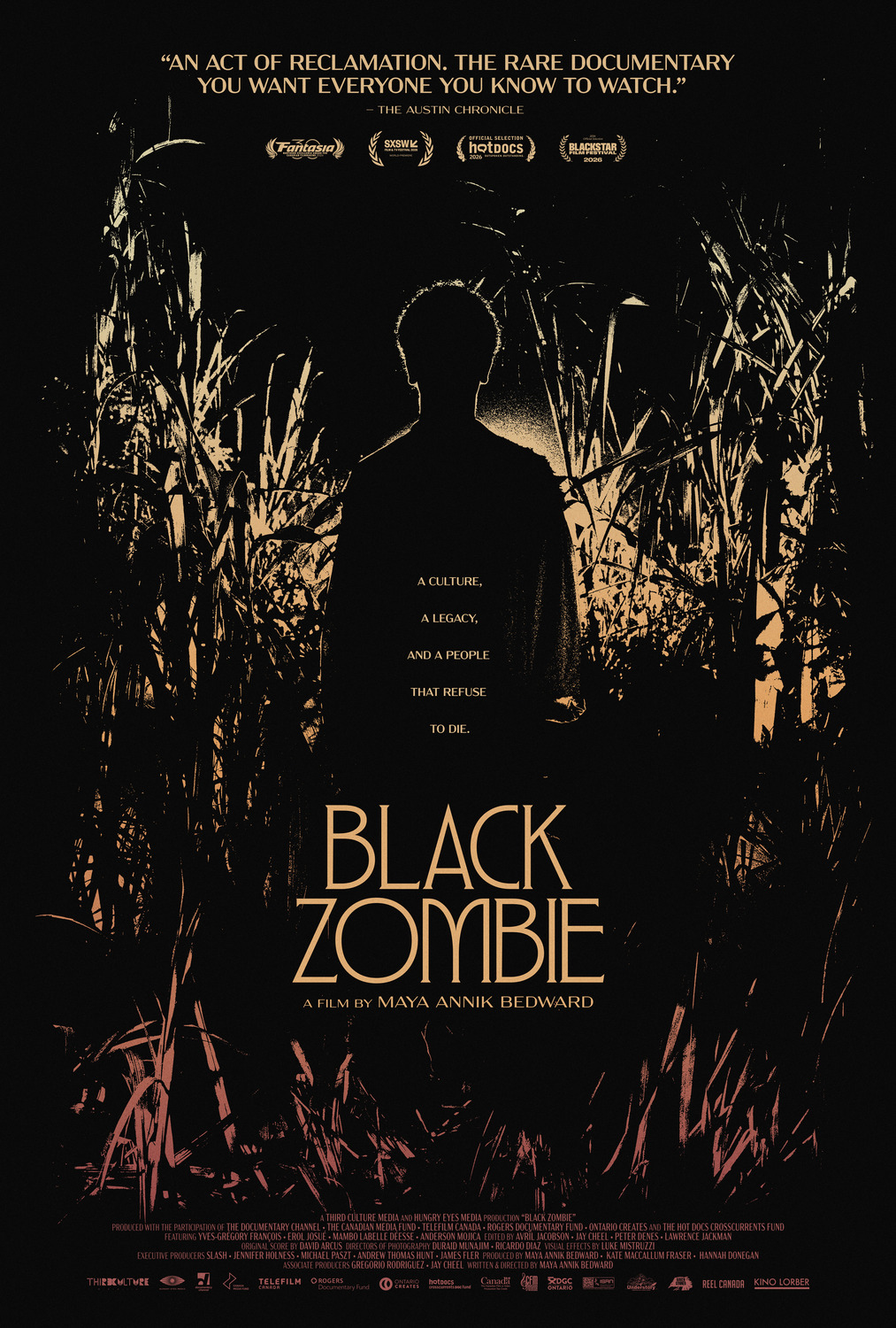 Extra Large Movie Poster Image for Black Zombie 