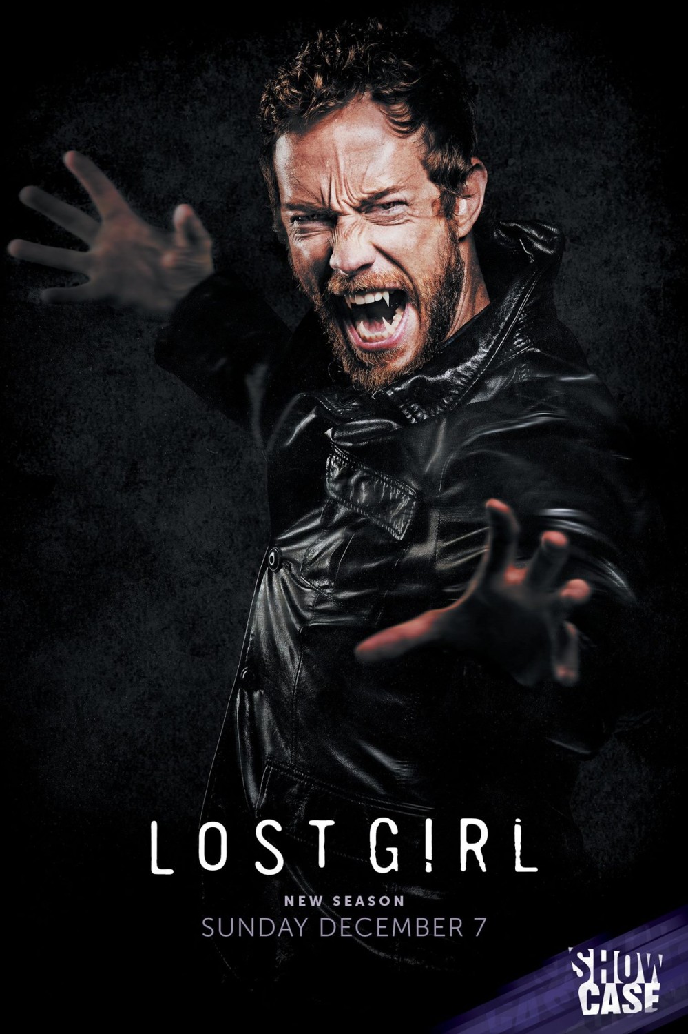 Extra Large TV Poster Image for Lost Girl (#3 of 5)