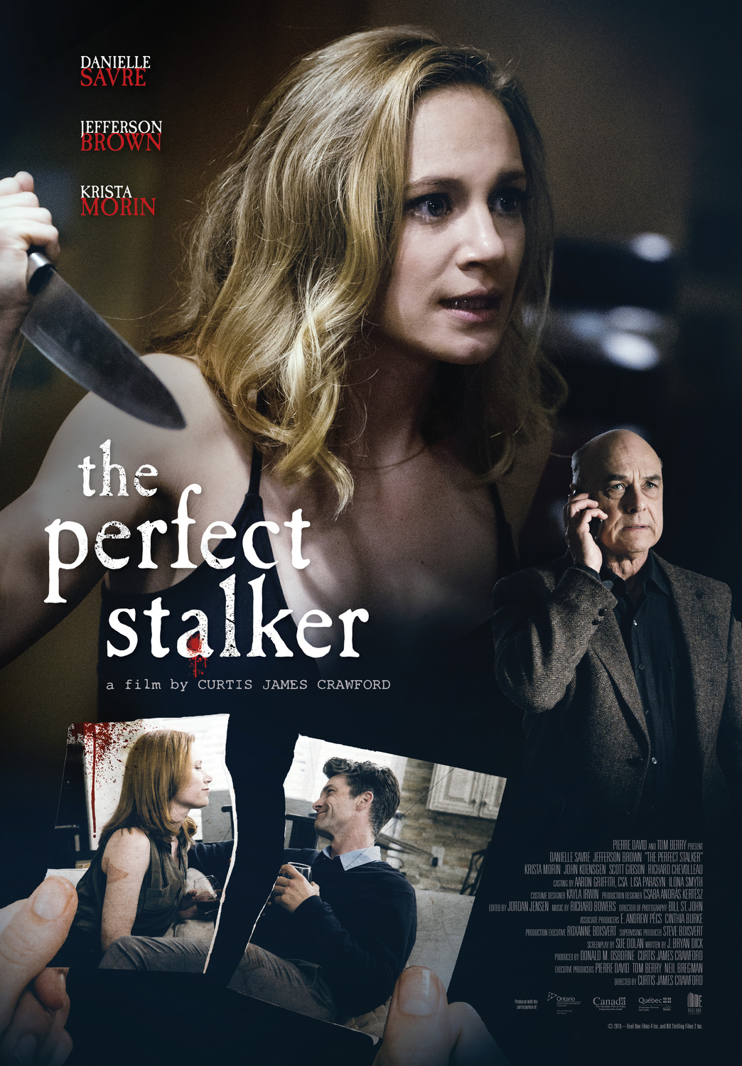 Extra Large Movie Poster Image for The Perfect Stalker 
