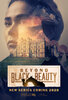 Beyond Black Beauty  Thumbnail