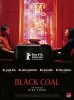 Black Coal, Thin Ice (2014) Thumbnail